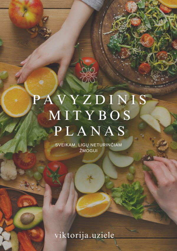 Pavyzdinis mitybos planas Nr.2