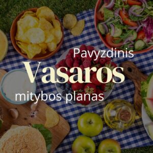 Pavyzdinis vasaros mitybos planas