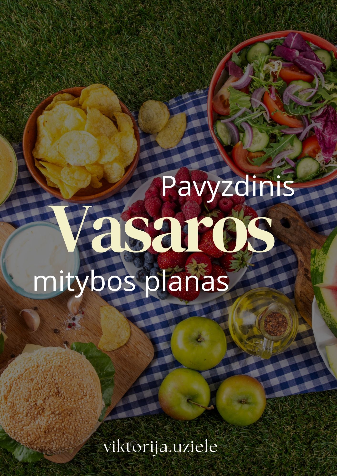 Pavyzdinis vasaros mitybos planas